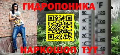 соль ск Кулебаки