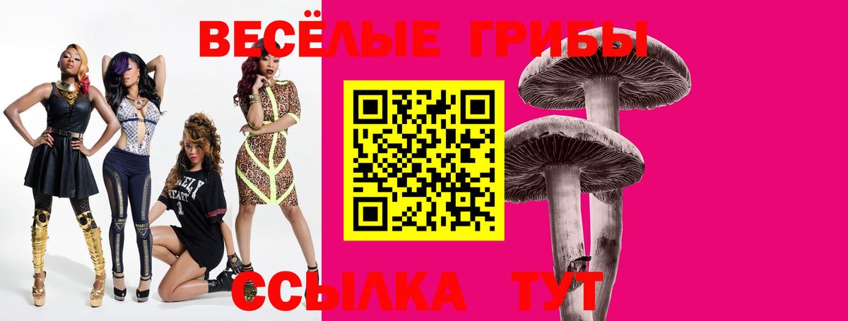 Псилоцибиновые грибы Psilocybe Коммунар